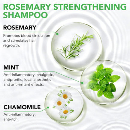 Refresh & Fortify Your Hair